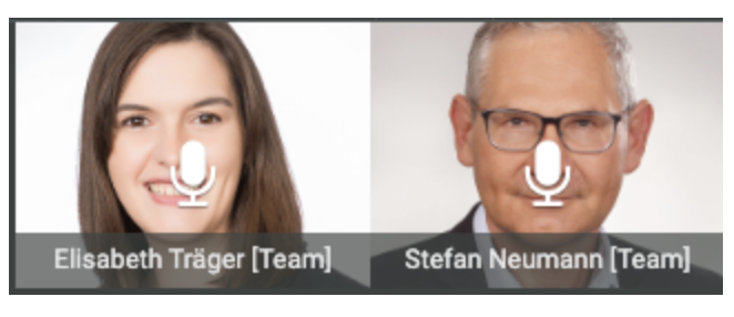 Avatare der Kursleitung im Webinarraum